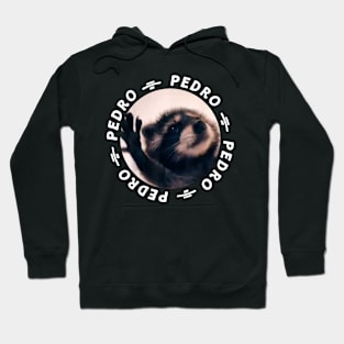 Pedro Raccon Meme, Funny Pedro Hoodie